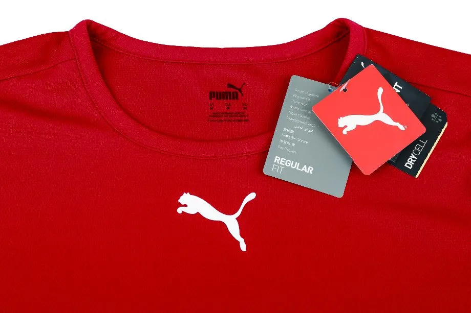 PUMA Kinder T-Shirts Set teamRISE Jersey Jr 704938 04/01/03